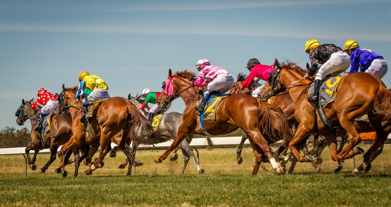 Golden Fleece Races